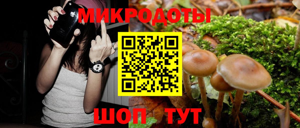 Псилоцибиновые грибы Psilocybine cubensis Екатеринбург