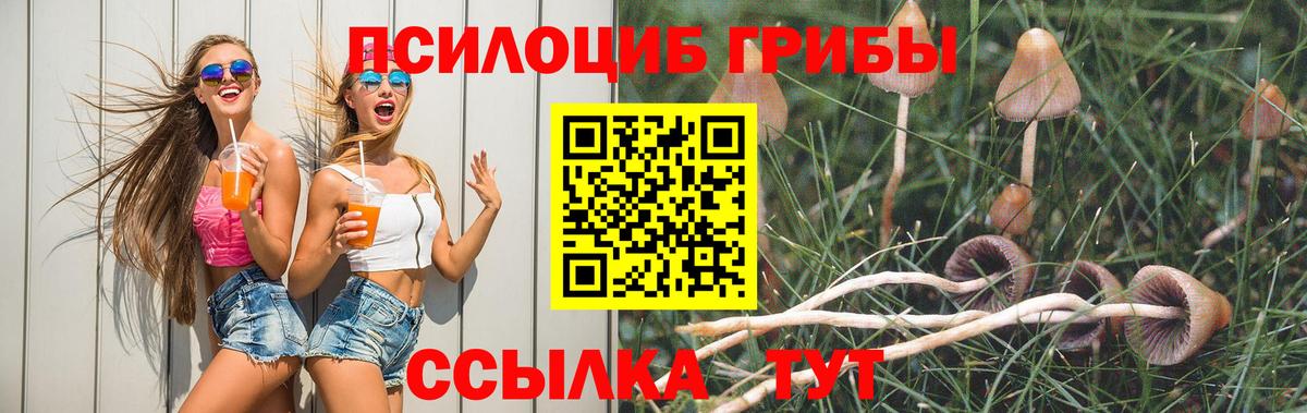 Екатеринбург  Псилоцибиновые грибы Psilocybe  Вход с VPN 